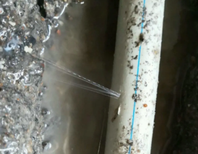 泾川测漏水哪家好