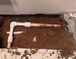 泾川测漏水哪家好