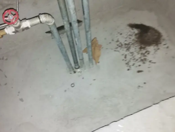 泾川卫生间测漏水价格明细