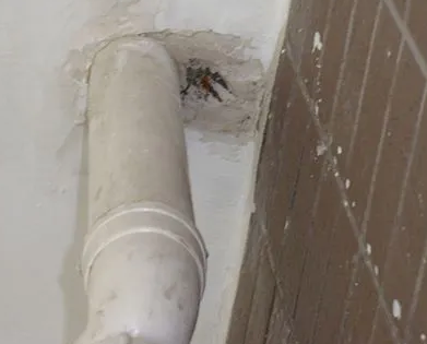 泾川漏水检测哪家好